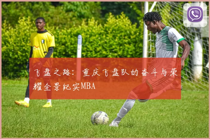 飞盘之路：重庆飞盘队的奋斗与荣耀全景纪实MBA