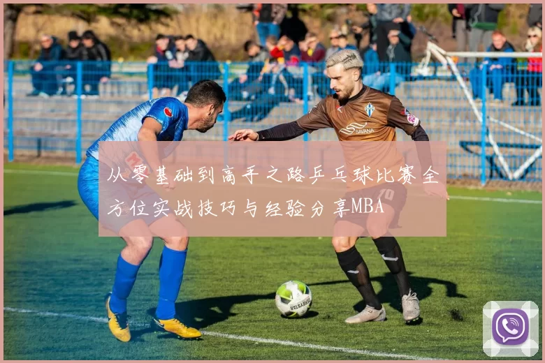 从零基础到高手之路乒乓球比赛全方位实战技巧与经验分享MBA