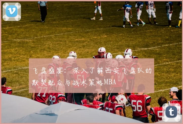 飞盘盛宴：深入了解西安飞盘队的默契配合与战术策略MBA
