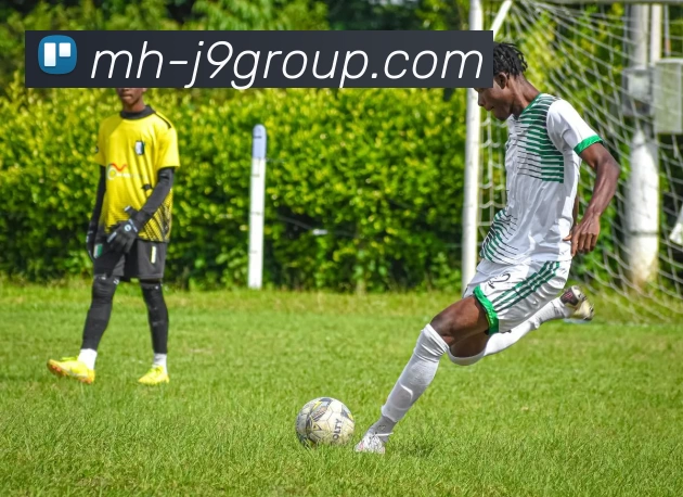 App Interface Preview